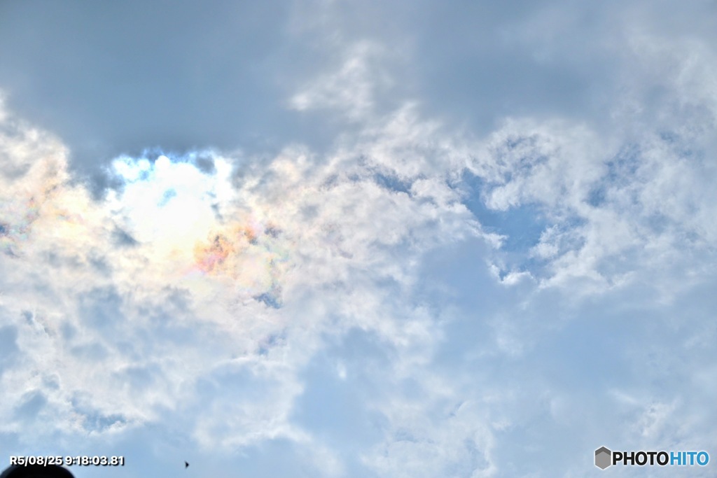 彩雲