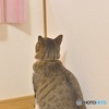 蜘蛛を狙う