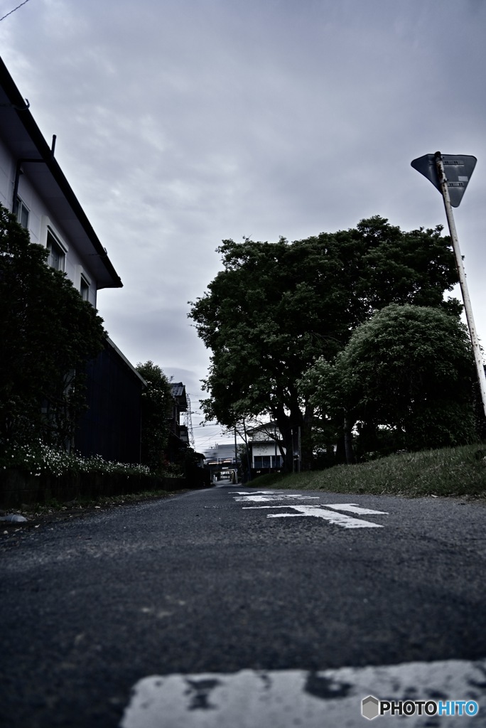 今日は曇り
