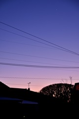 ブルーモーメント