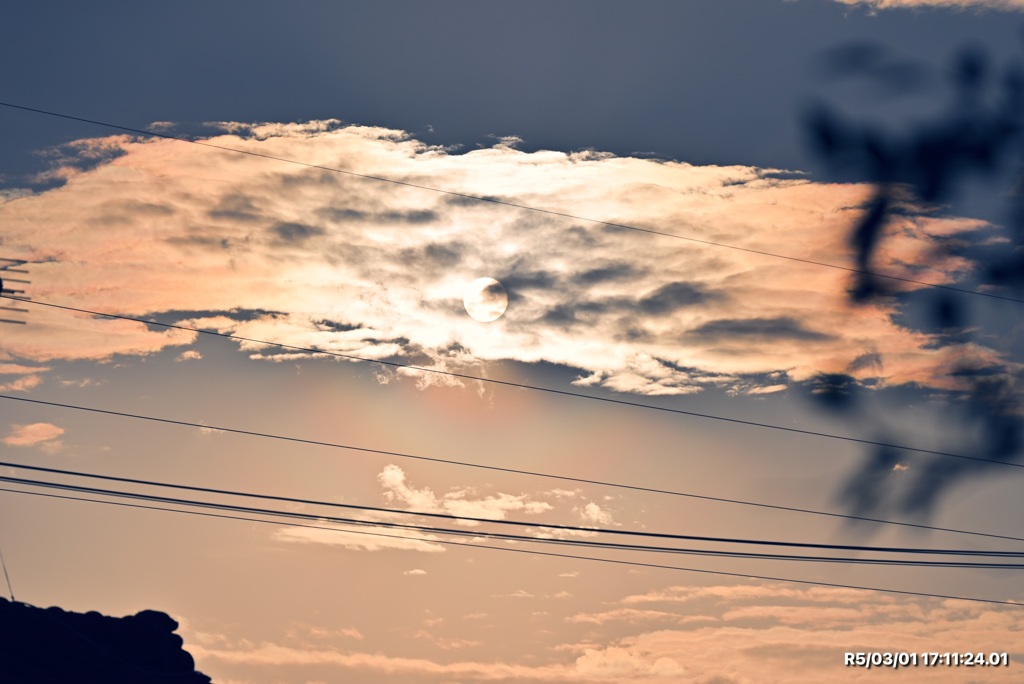 花粉まみれの空