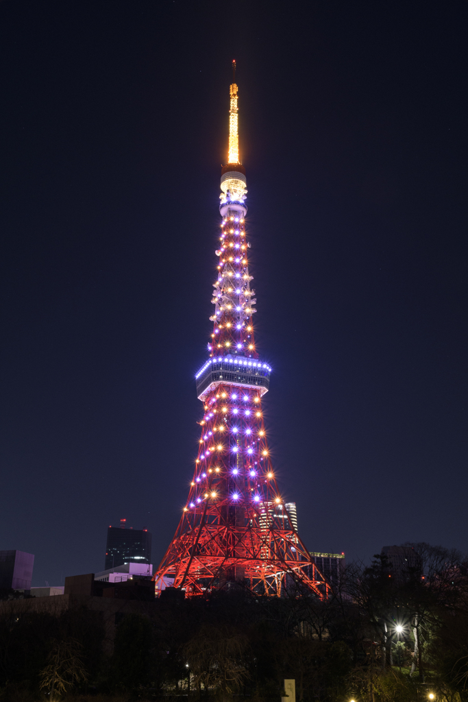 元旦（2020年1月3日）