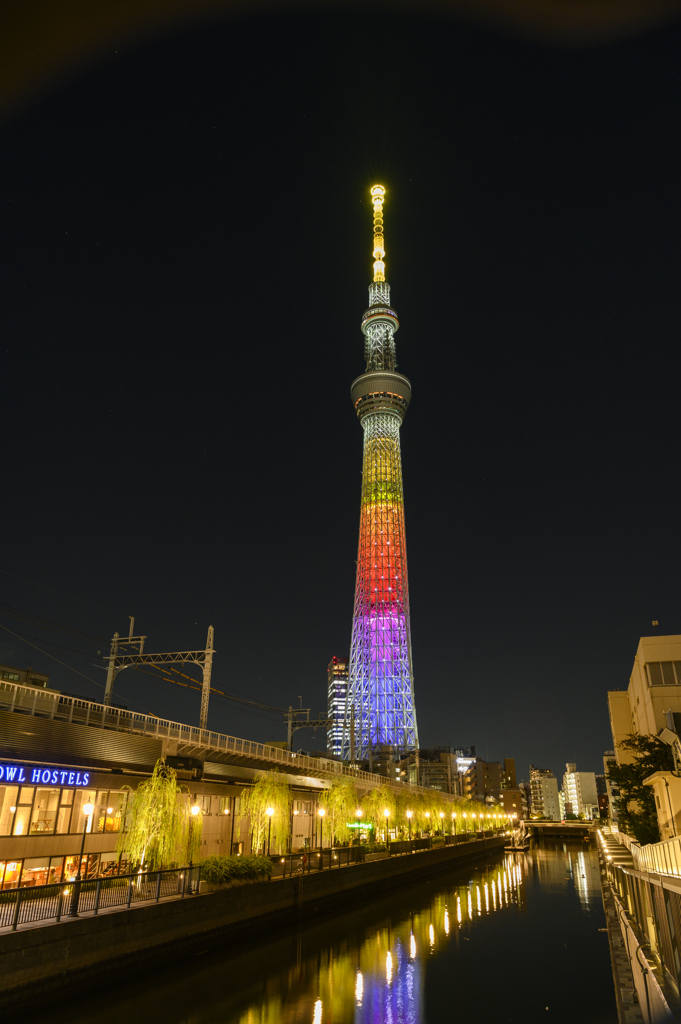 祝寿 ～10年後も、一緒に見上げよう。～