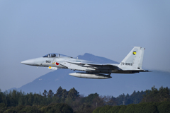 F-15J Eagle (1)