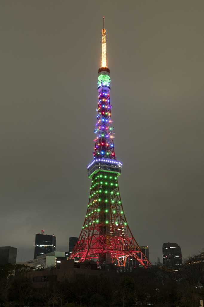 東京マラソン開催記念（2020年2月29日）