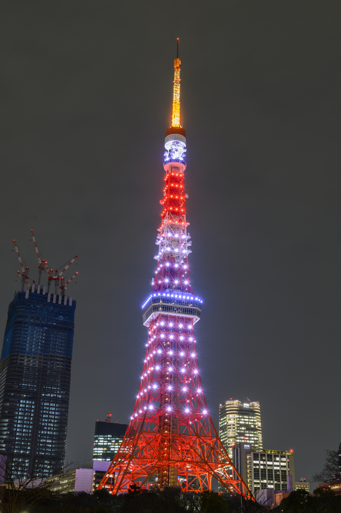 北京パラリンピック開会式日本選手選手団応援②（2022年3月4日）