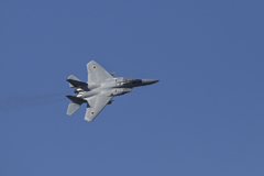 F-15J Eagle (3)