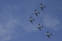 Blue Impulse (15)