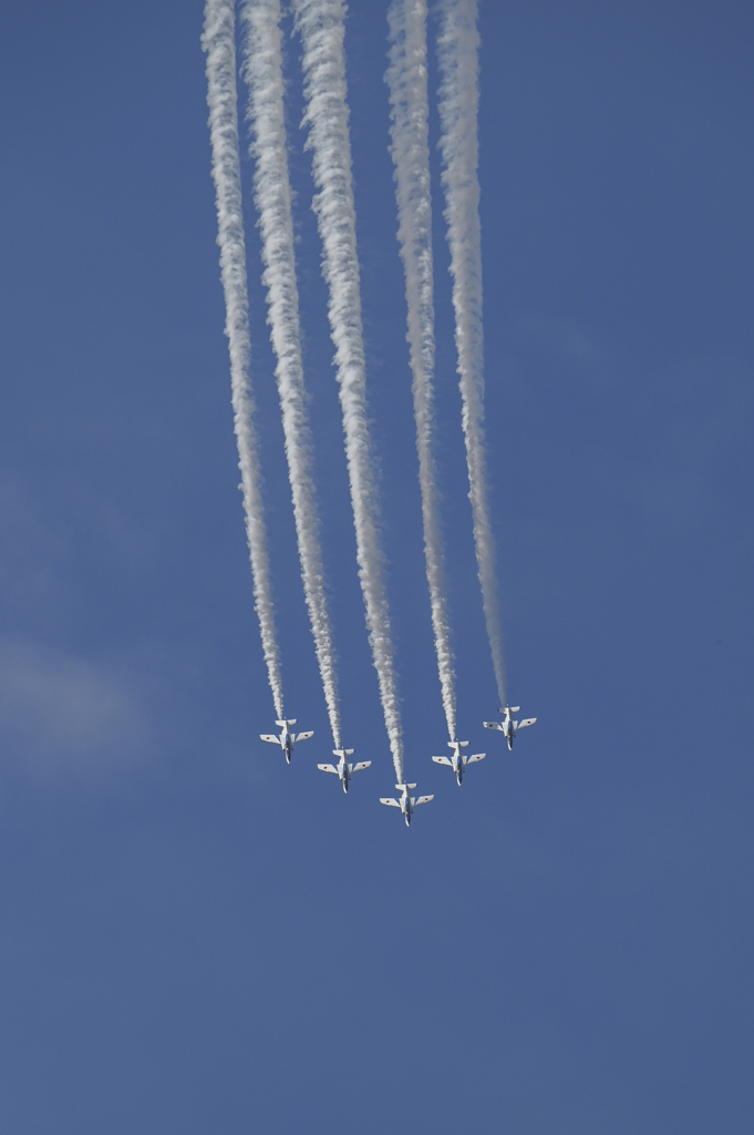 Blue Impulse (03)