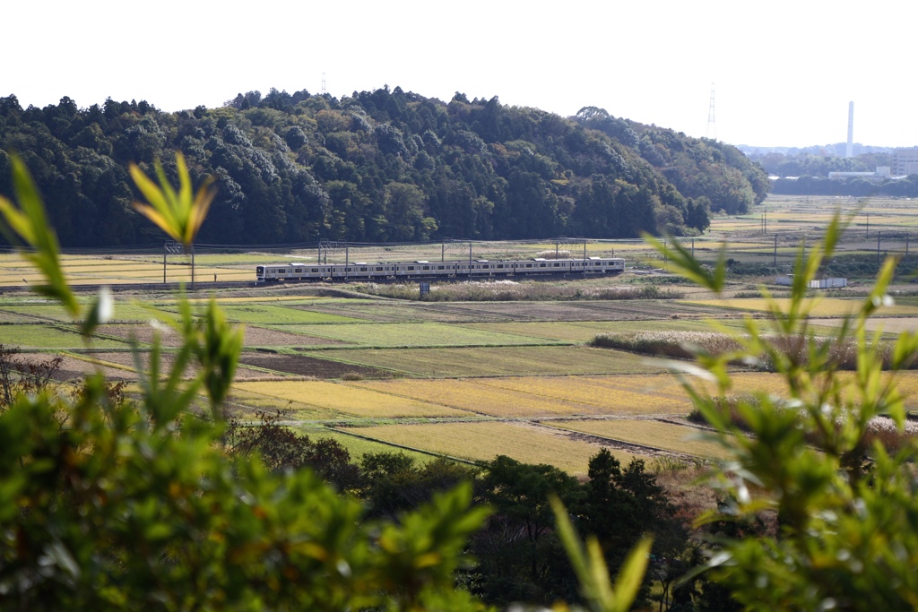 秋の田園をゆく