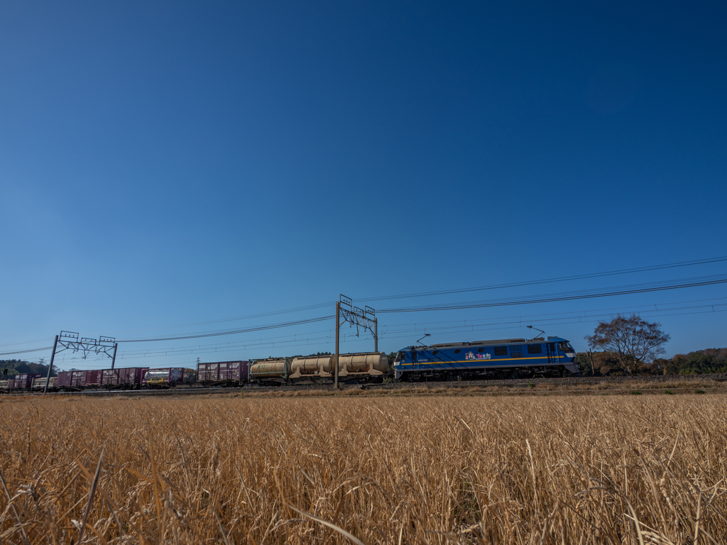 本日の桃太郎　秋空