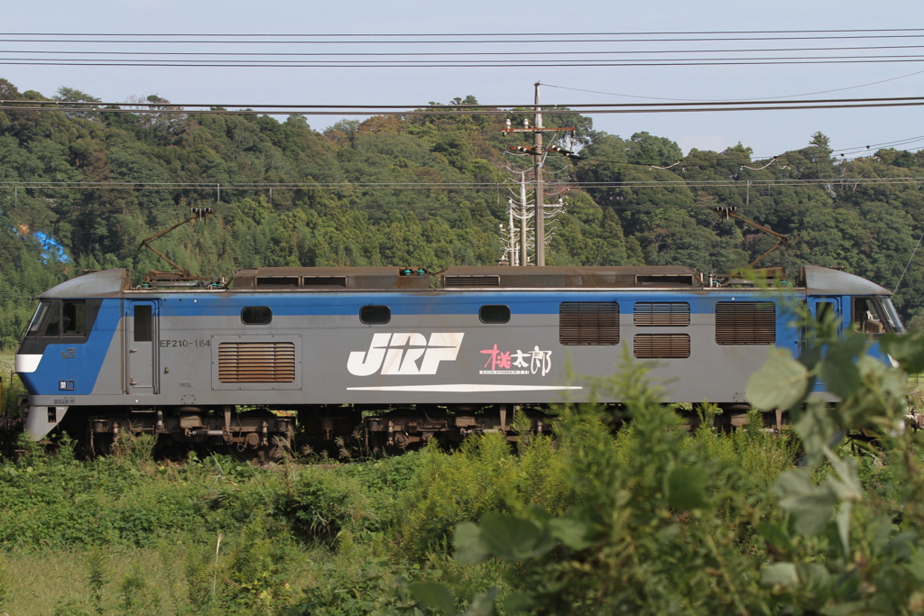 EF210-164 桃太郎　3