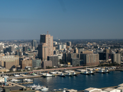 ビルと港の間を行く