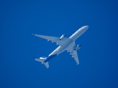 本日の我が家上空　スカンジナビア航空