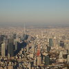 TOKYO観光　1