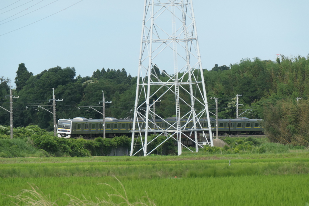 ねえ君、ちょっとそこ退いてくれない・・・？　そりゃー無理だね・・・。