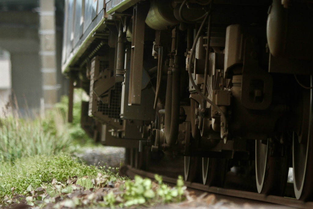 車輪と雑草