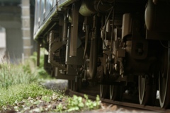 車輪と雑草