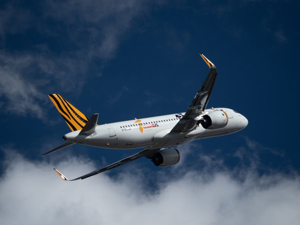 本日の成田さくらの丘　タイガー