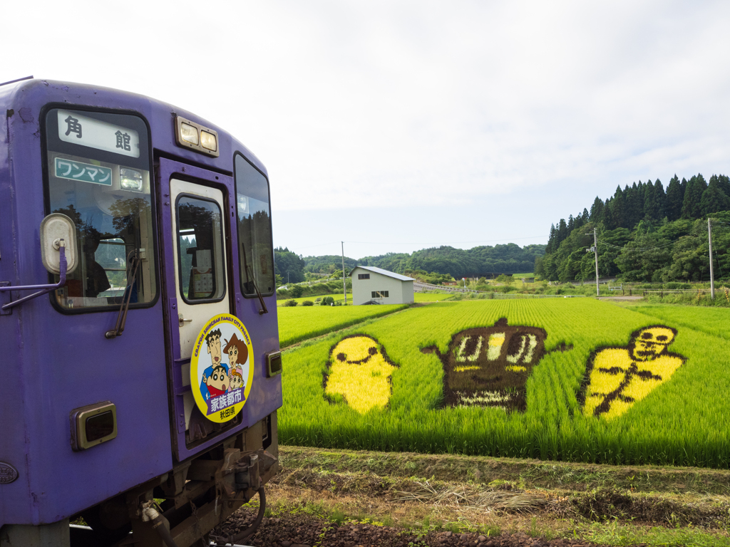 田んぼアート「みんなと広げる笑顔の輪」