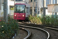 都電荒川線　東京さくらトラム　1