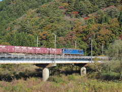 藤琴川をわたる