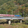 藤琴川をわたる