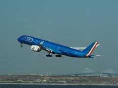 やるぜイタリア、メタリック