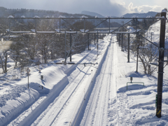 つかの間の晴れ間　こっちは運休