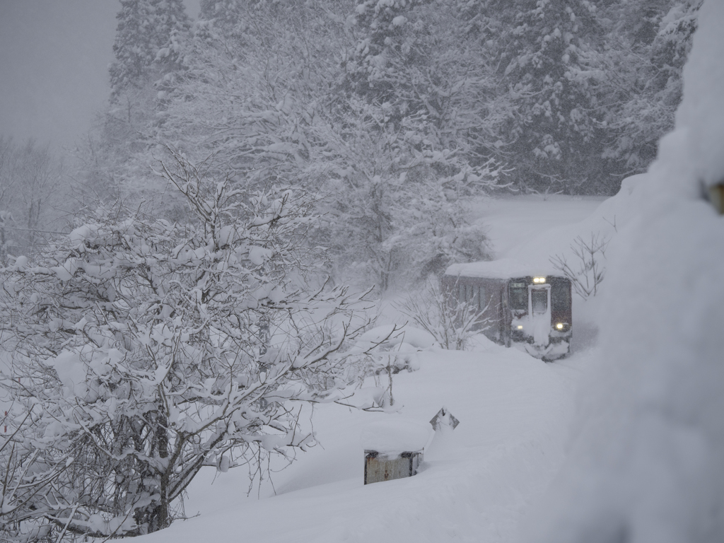 秋田内陸線　雪枝の向こうから