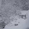 秋田内陸線　雪枝の向こうから