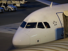 夕暮れの到着機