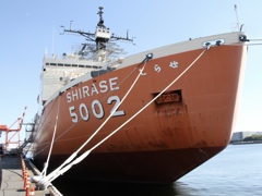 SHRASE5002 しらせ