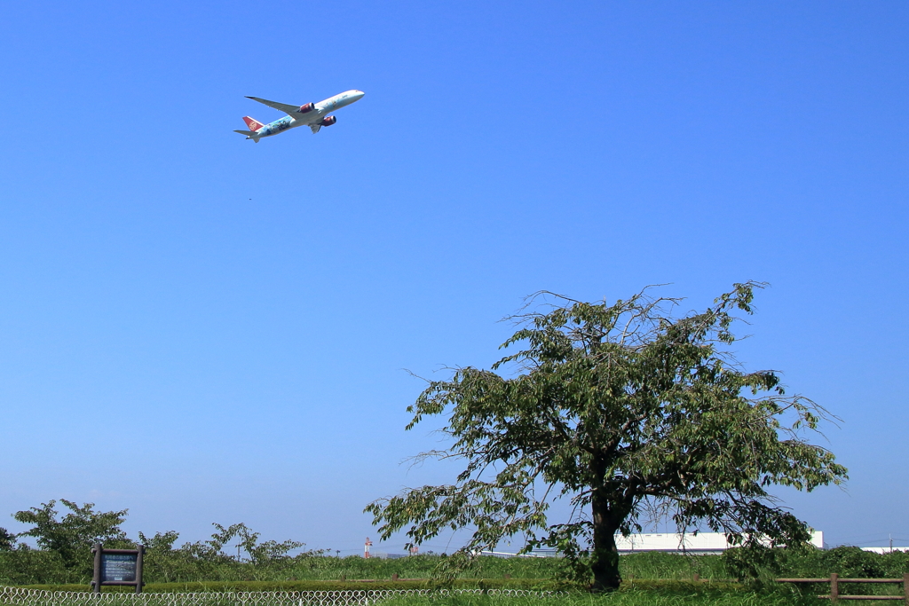 夏空