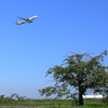 夏空