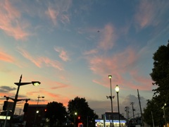 夕焼けの羽田行き