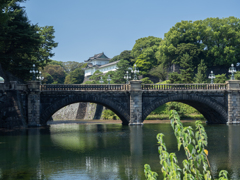 東京さん歩　二重橋（正門石橋）