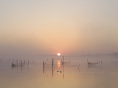 今朝の印旛沼　霧