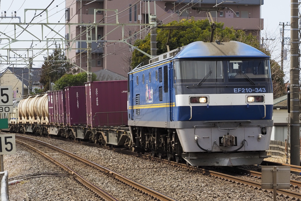 本日の桃太郎　街を行く