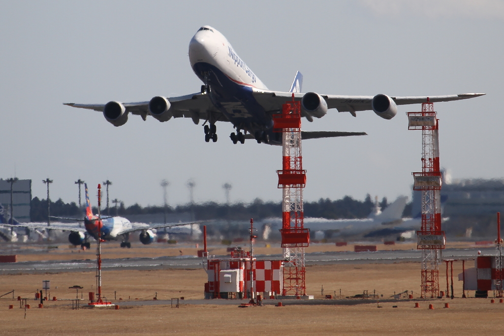 NIPPON CARGO AIRLINES     Boeing747-8KZF