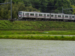 田んぼと電車は雨の中