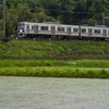 田んぼと電車は雨の中