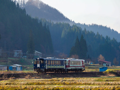 里山の朝