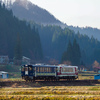 里山の朝