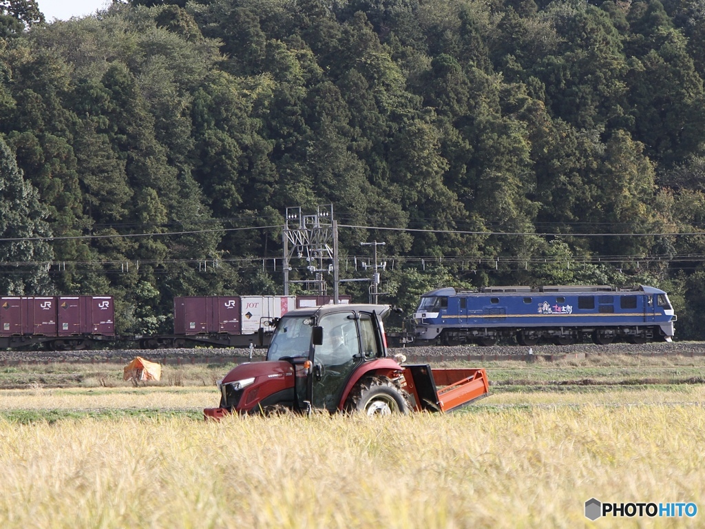 トラクターと貨物列車　働き者ですね