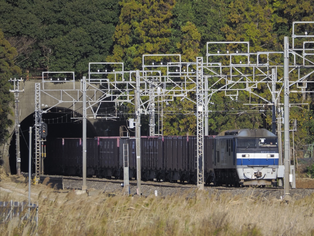 本日の桃太郎　トンネル