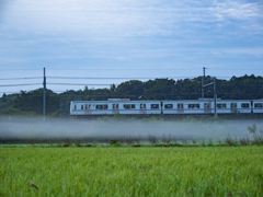 本日の朝活　霧の帯