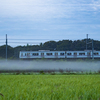 本日の朝活　霧の帯
