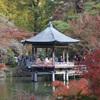 成田山公園　浮御堂