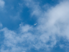 本日の我が家上空　JAL